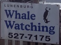 Store front for Lunenburg Whale Watching